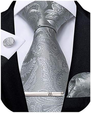 Paisley Ties for Men Silk Necktie and Pocket Square Cufflinks Tie Clip Set Woven Classic Mens Tie for Wedding Party