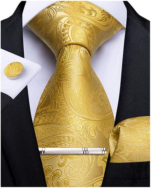 Paisley Ties for Men Silk Necktie and Pocket Square Cufflinks Tie Clip Set Woven Classic Mens Tie for Wedding Party