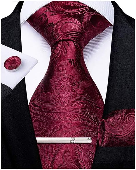 Paisley Ties for Men Silk Necktie and Pocket Square Cufflinks Tie Clip Set Woven Classic Mens Tie for Wedding Party