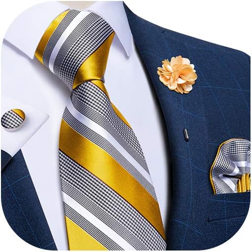 Silk Ties for Men Necktie and Lapel Pin Brooch Set Formal Woven Paisley Plaid Striped Solid Tie Wedding Party