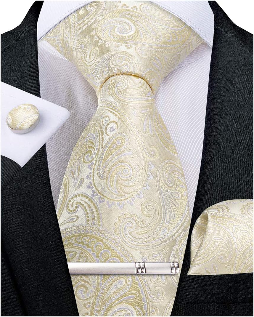 Paisley Ties for Men Silk Necktie and Pocket Square Cufflinks Tie Clip Set Woven Classic Mens Tie for Wedding Party