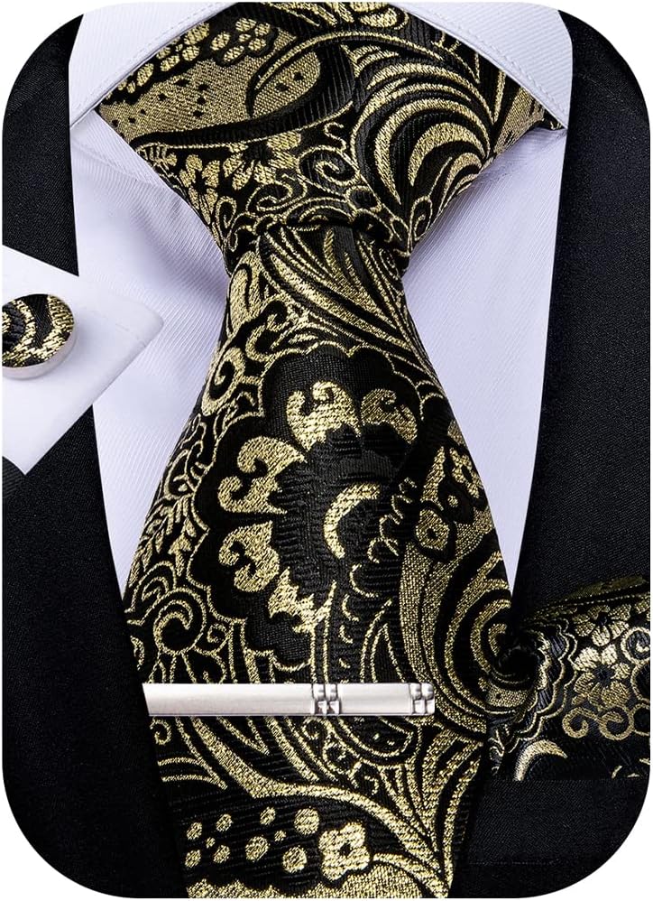 Paisley Ties for Men Silk Necktie and Pocket Square Cufflinks Tie Clip Set Woven Classic Mens Tie for Wedding Party