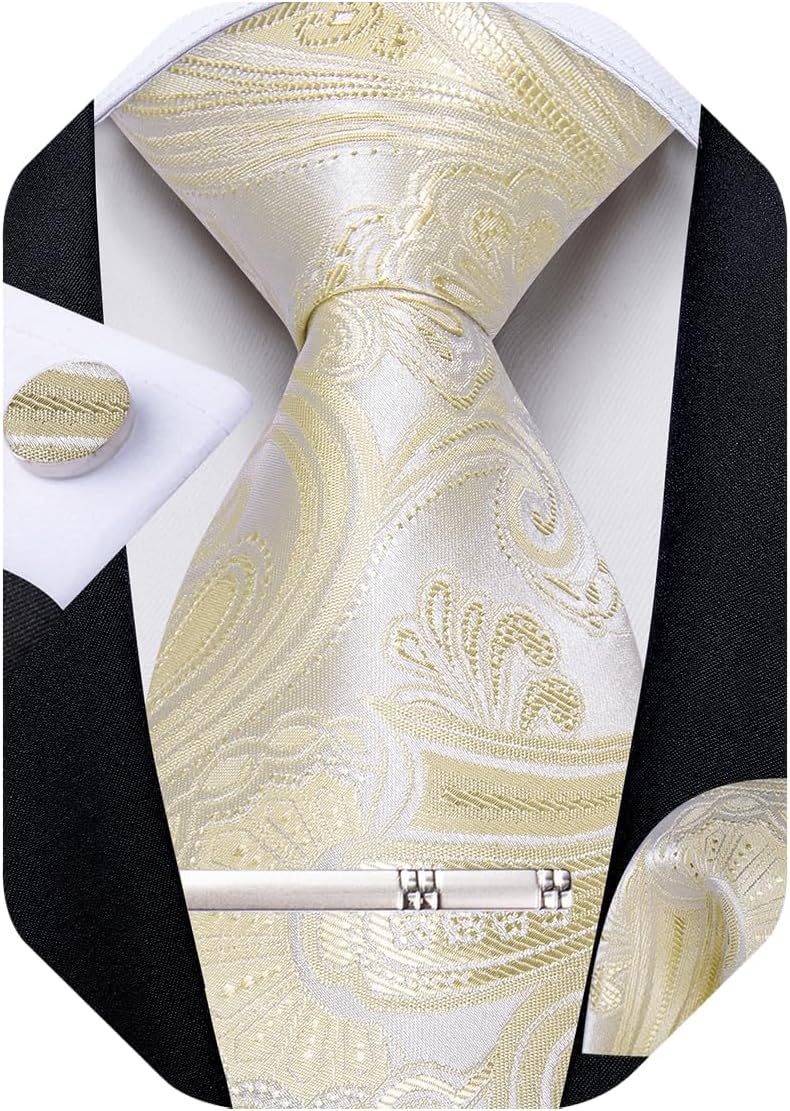 Paisley Ties for Men Silk Necktie and Pocket Square Cufflinks Tie Clip Set Woven Classic Mens Tie for Wedding Party