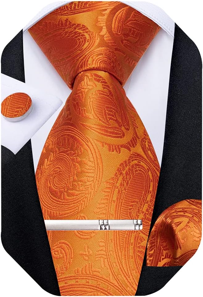 Paisley Ties for Men Silk Necktie and Pocket Square Cufflinks Tie Clip Set Woven Classic Mens Tie for Wedding Party