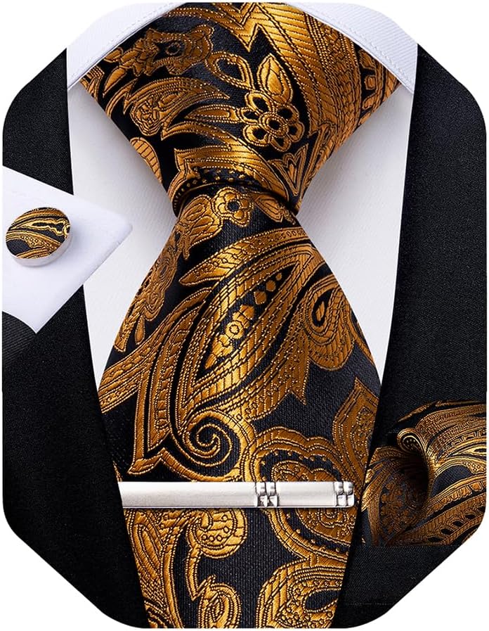 Paisley Ties for Men Silk Necktie and Pocket Square Cufflinks Tie Clip Set Woven Classic Mens Tie for Wedding Party