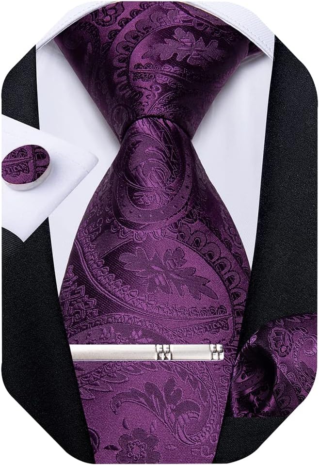 Paisley Ties for Men Silk Necktie and Pocket Square Cufflinks Tie Clip Set Woven Classic Mens Tie for Wedding Party