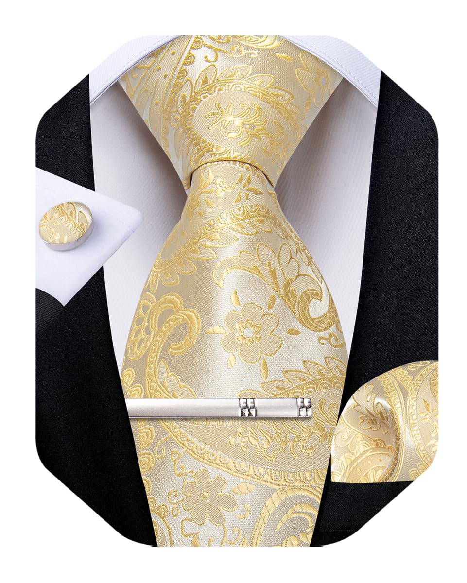 Silk Floral Ties for Men Woven Paisley Necktie and Tie Clip Handkerchief Cufflinks Set for Party Wedding