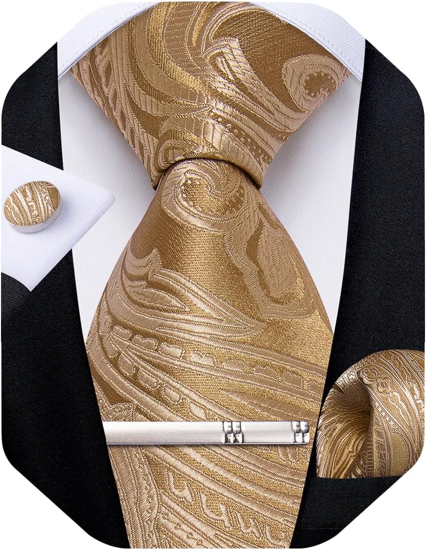 Paisley Ties for Men Silk Necktie and Pocket Square Cufflinks Tie Clip Set Woven Classic Mens Tie for Wedding Party