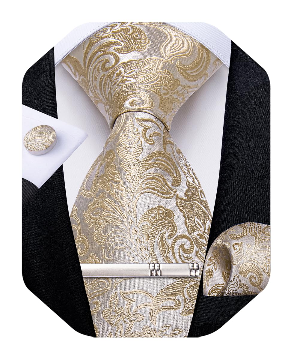 Silk Floral Ties for Men Woven Paisley Necktie and Tie Clip Handkerchief Cufflinks Set for Party Wedding