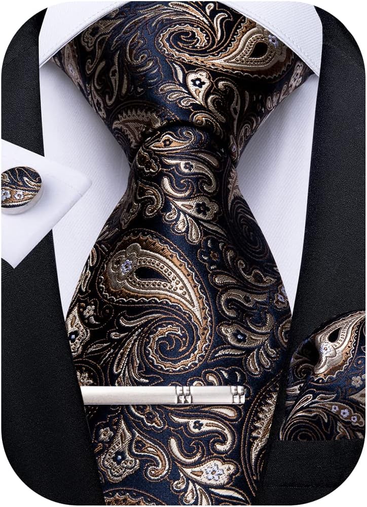 Paisley Ties for Men Silk Necktie and Pocket Square Cufflinks Tie Clip Set Woven Classic Mens Tie for Wedding Party