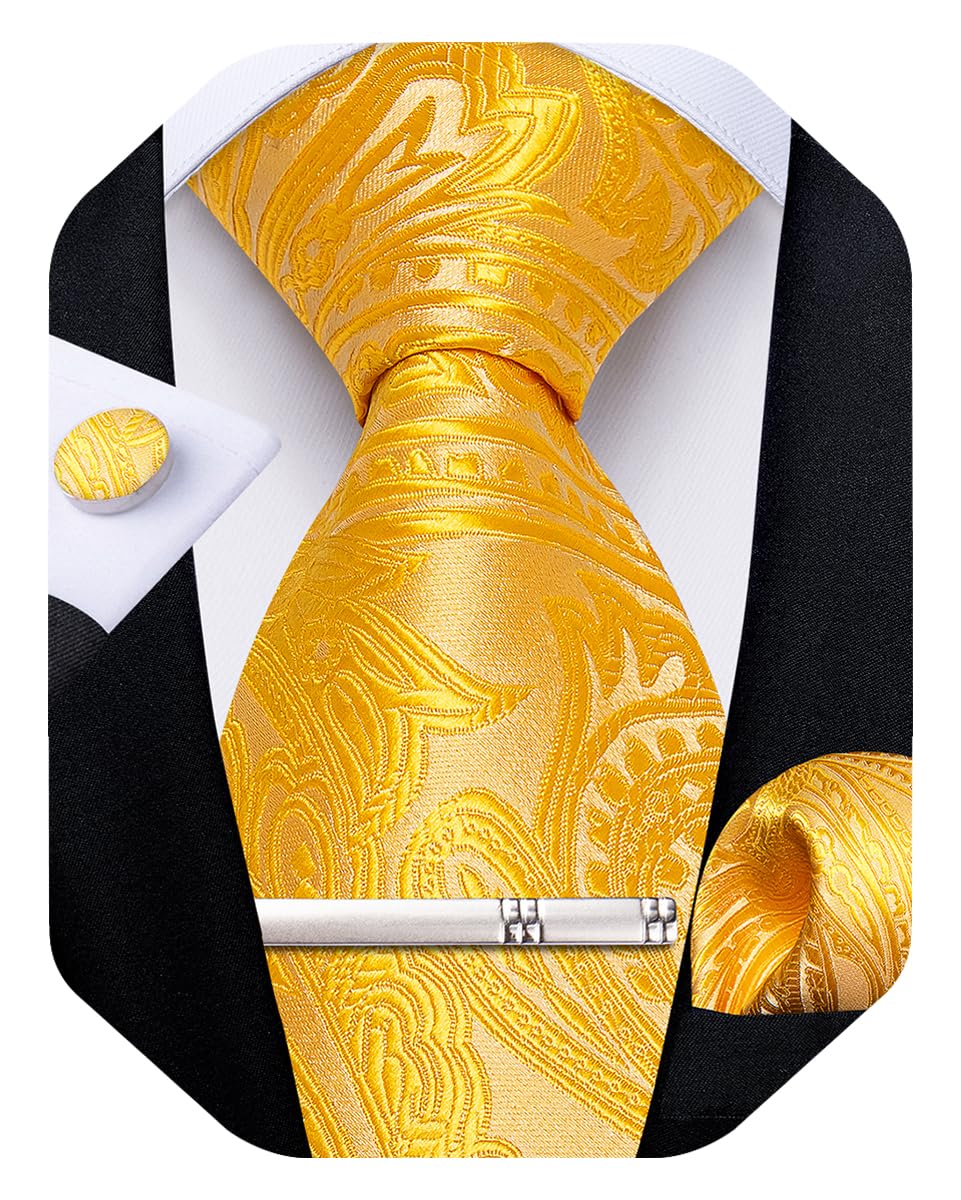 Silk Floral Ties for Men Woven Paisley Necktie and Tie Clip Handkerchief Cufflinks Set for Party Wedding