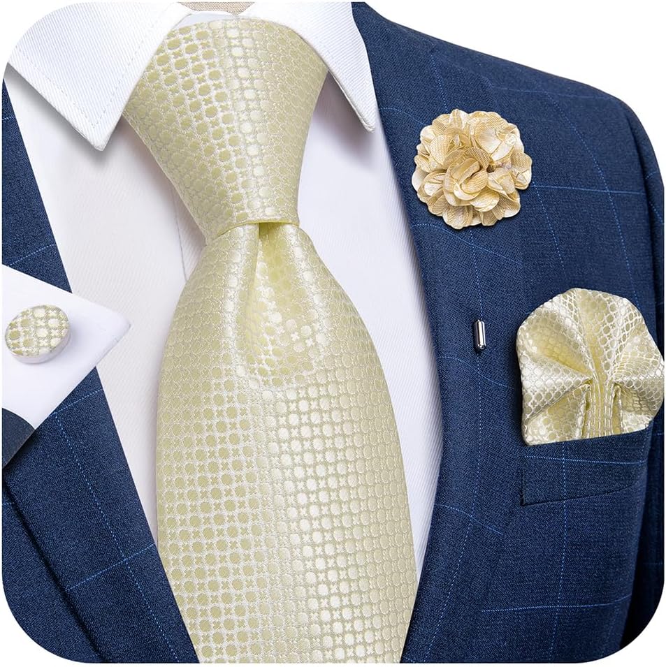 Silk Ties for Men Necktie and Lapel Pin Brooch Set Formal Woven Paisley Plaid Striped Solid Tie Wedding Party