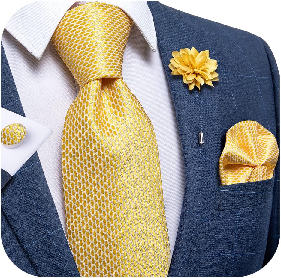 Silk Ties for Men Necktie and Lapel Pin Brooch Set Formal Woven Paisley Plaid Striped Solid Tie Wedding Party