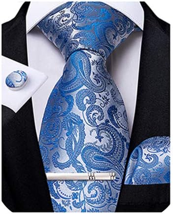 Paisley Ties for Men Silk Necktie and Pocket Square Cufflinks Tie Clip Set Woven Classic Mens Tie for Wedding Party