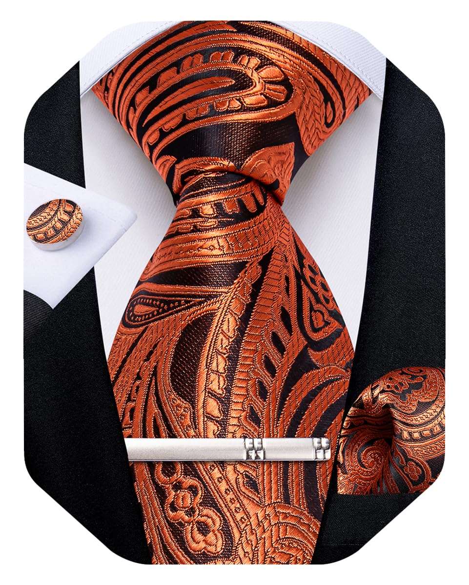 Silk Floral Ties for Men Woven Paisley Necktie and Tie Clip Handkerchief Cufflinks Set for Party Wedding